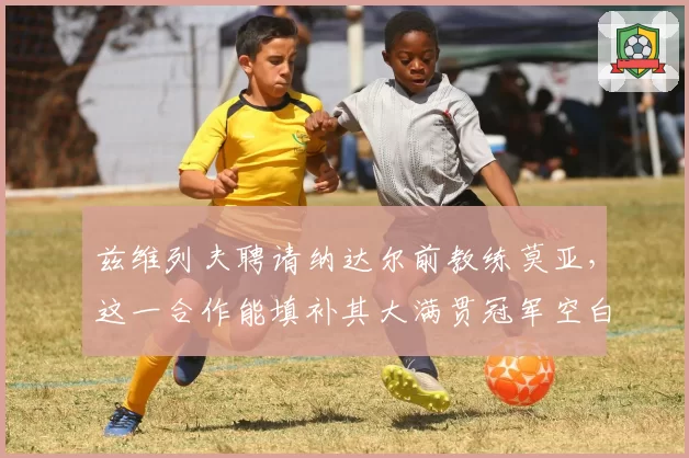 兹维列夫聘请纳达尔前教练莫亚，这一合作能填补其大满贯冠军空白吗？