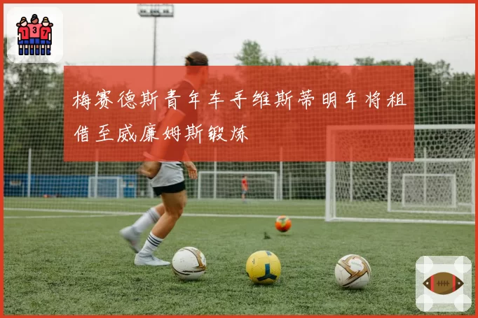 梅赛德斯青年车手维斯蒂明年将租借至威廉姆斯锻炼