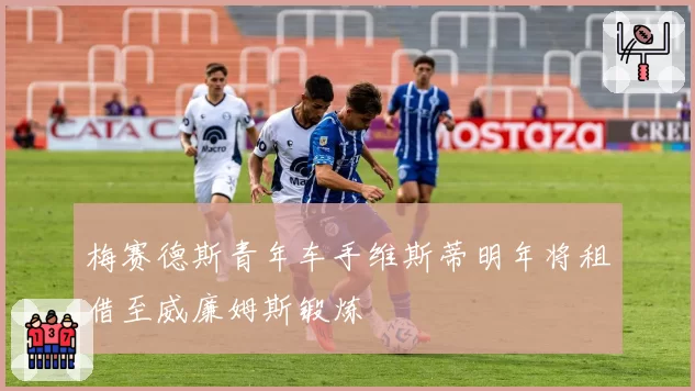 梅赛德斯青年车手维斯蒂明年将租借至威廉姆斯锻炼